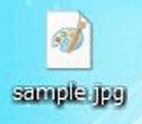 jpg形式のファイルの画像